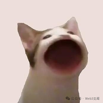加密货币土狗市场的生存法则：6条血泪经验分享
