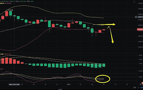 8月DOGE行情深度解析：30亿持仓暗藏玄机，暴涨前夜来了？