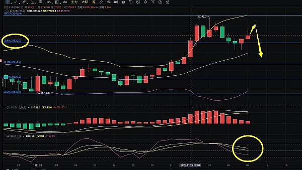 逆势突围：Tron如何在寒冬中绽放异彩
