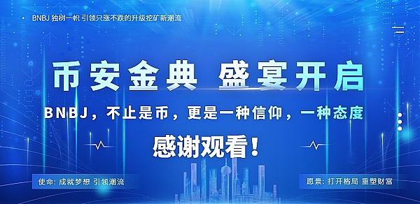 迈克菲遗孀的挣扎：一个未解之谜与生活的现实困境