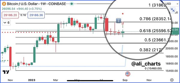 深夜惊魂：比特币暴跌背后的投资哲学