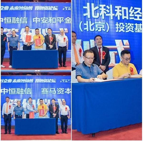 比特币的未来：比黄金更闪亮的数字资产？